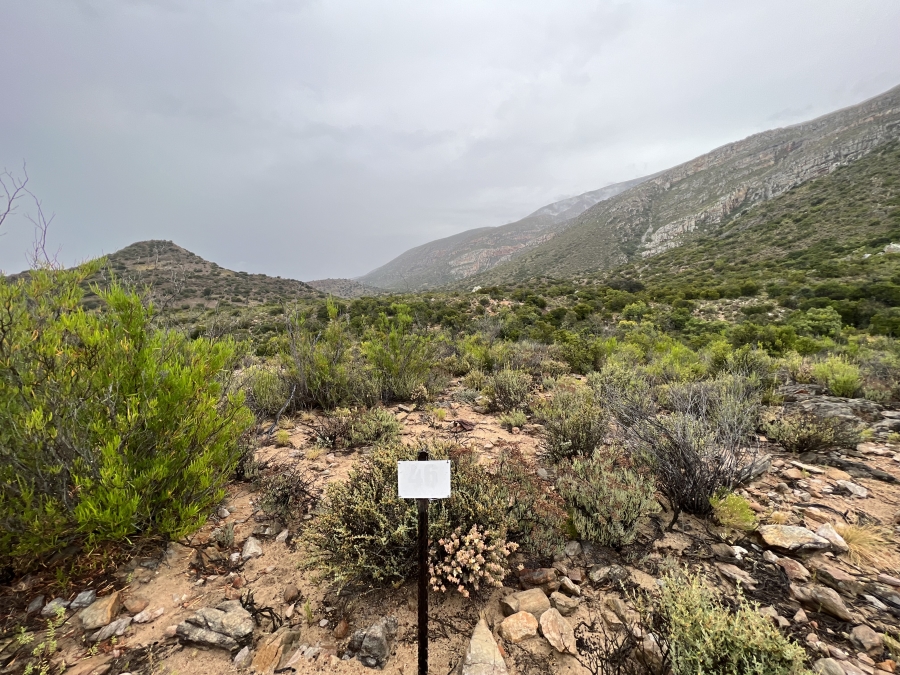 0 Bedroom Property for Sale in Ladismith Western Cape